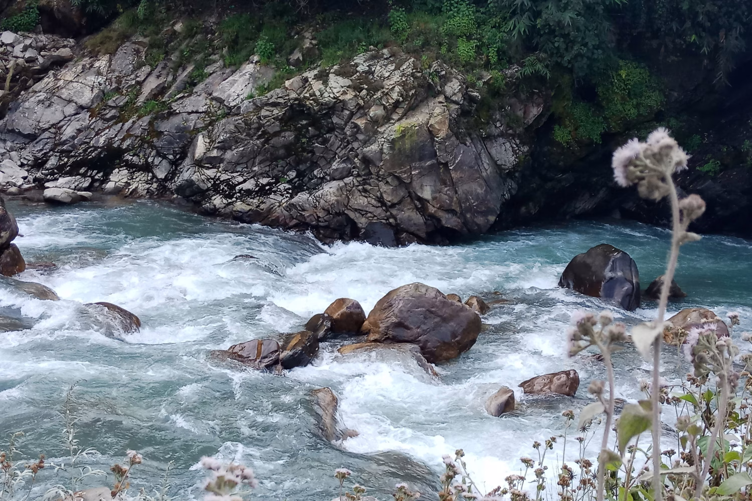 Short Annapurna Basecamp Trek